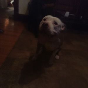 Meet your Posher, Avanta